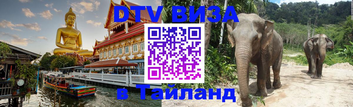 Сколько стоит DTV виза — актуальные цены, оформление даже без документов - 04.10.2025 